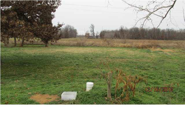 10002 Darnell School Rd, Mount Vernon, IN 47620 photo 15