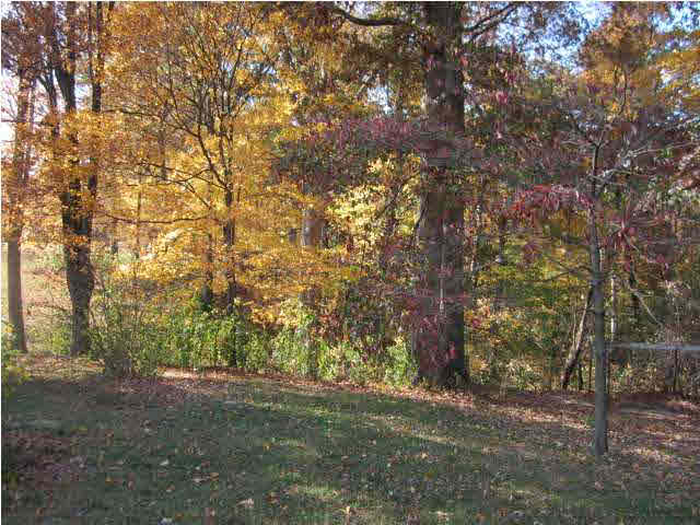 9995 Old State Road 37, Tell City, IN 47586 photo 15