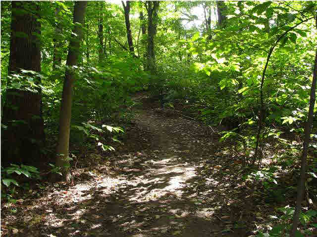 2281 N Benchmark Dr, Princeton, IN 47670 photo 14