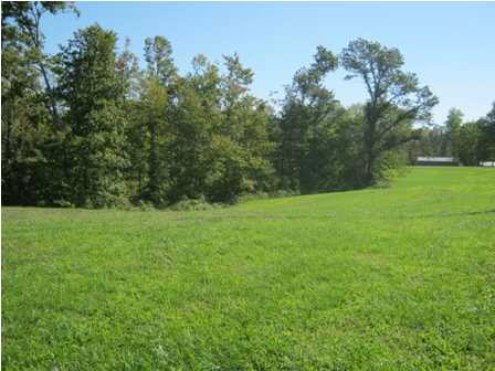 4727 S Old State Road 64, Winslow, IN 47598 photo 7
