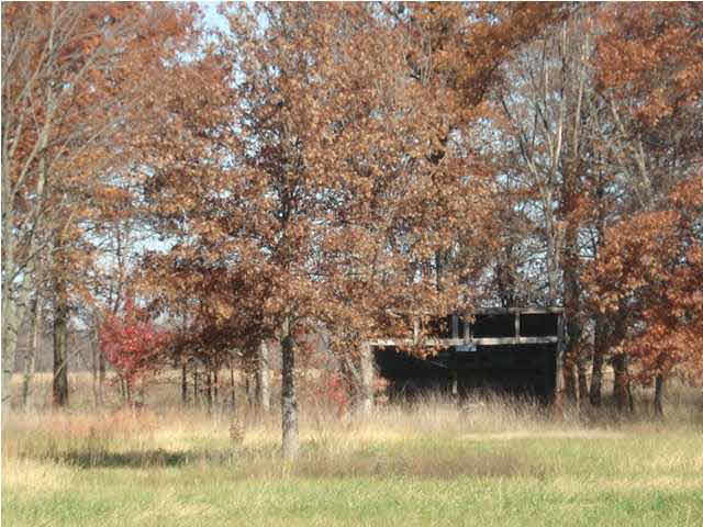 5730 Kansas Rd, Evansville, IN 47725 photo 24