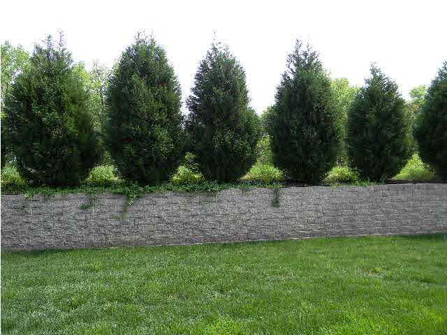 4696 Estate Dr, Newburgh, IN 47630 photo 18