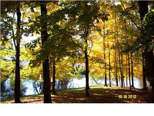 3099 Stevens Rd, Mount Vernon, IN 47620 photo 25