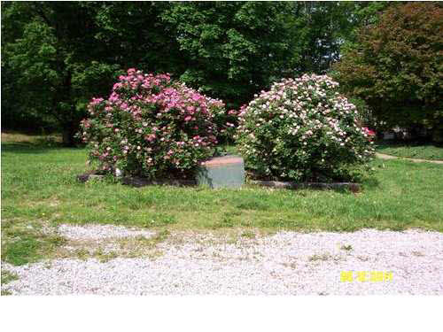 3099 Stevens Rd, Mount Vernon, IN 47620 photo 27
