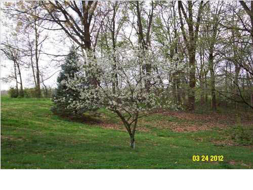 3099 Stevens Rd, Mount Vernon, IN 47620 photo 22