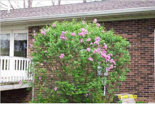 3099 Stevens Rd, Mount Vernon, IN 47620 photo 23