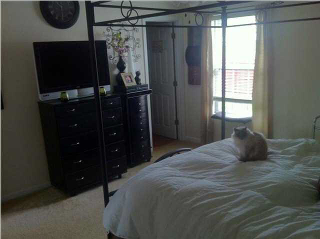 12902 Kenai Dr, Evansville, IN 47725 photo 10