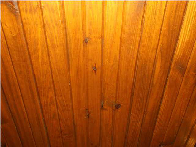 21388 Apricot Rd, Bristow, IN 47515 photo 9