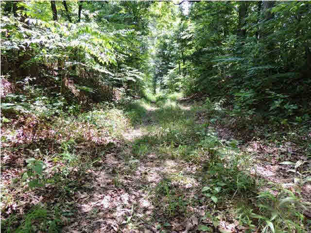9111 State Road 132, Sebree, KY 42455 photo 12
