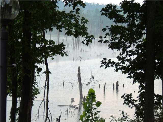 9111 State Road 132, Sebree, KY 42455 photo 23
