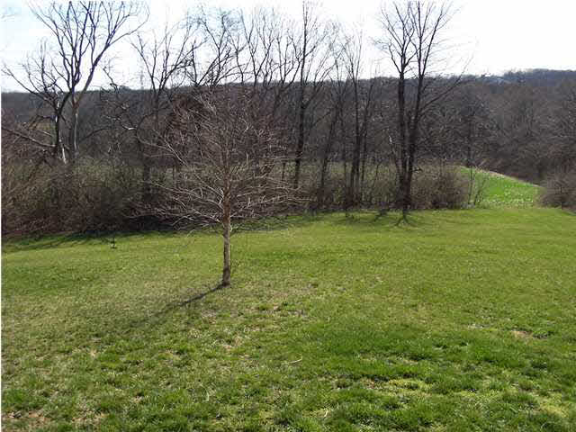 702 S Mohican Dr, Patoka, IN 47666 photo 24