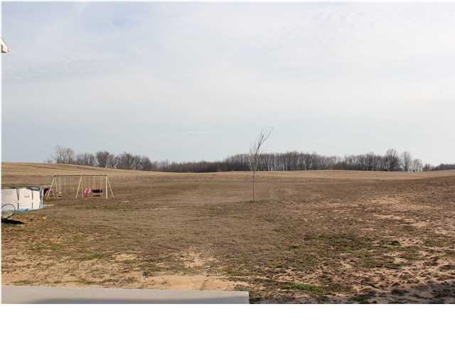 9701 Winyard Pl, Owensville, IN 47665 photo 2