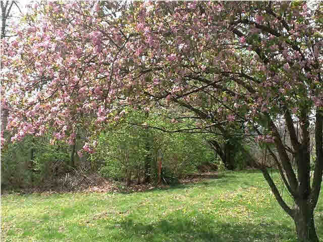 2467 Sleepy Hollow Rd, Eckerty, IN 47116 photo 17