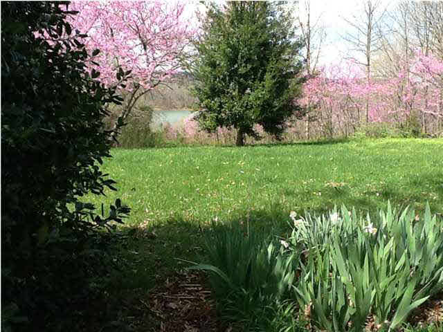 2467 Sleepy Hollow Rd, Eckerty, IN 47116 photo 16