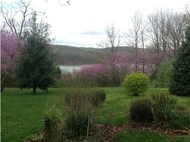 2467 Sleepy Hollow Rd, Eckerty, IN 47116 photo 18