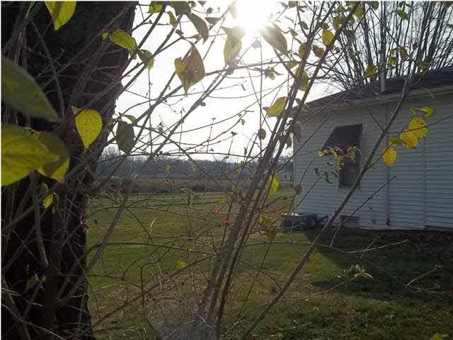 306 Walnut St, Loogootee, IN 47553 photo 17