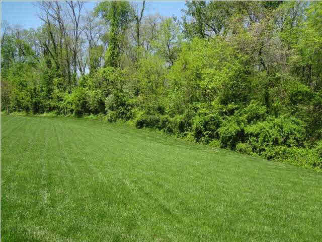521 Miller Rd, Evansville, IN 47712 photo 25