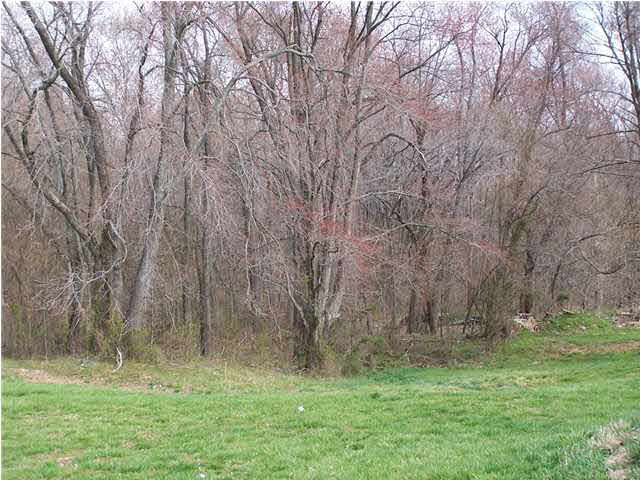 6462 E 500 N, Francisco, IN 47649 photo 7