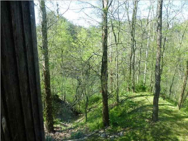 1733 Hewins Rd, Boonville, IN 47601 photo 13