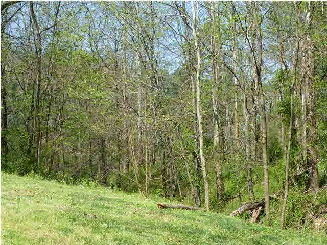 1733 Hewins Rd, Boonville, IN 47601 photo 16