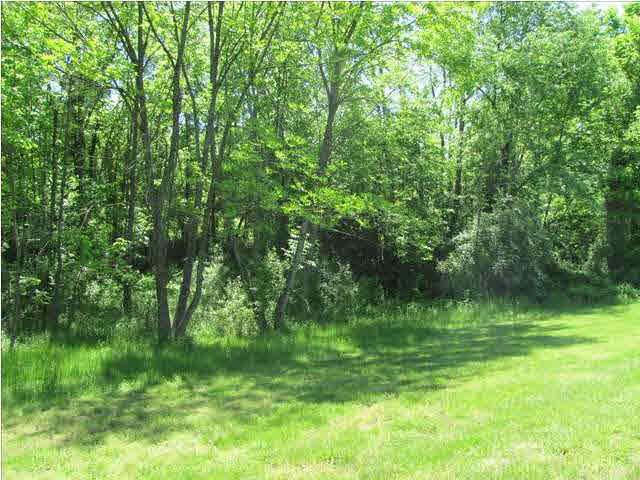 3923 Church Rd, Evansville, IN 47720 photo 24