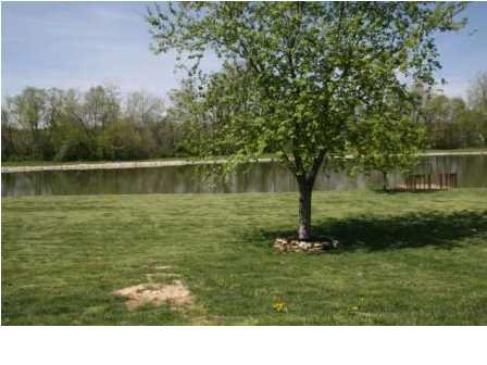 9736 Clippinger Rd, Evansville, IN 47725 photo 17