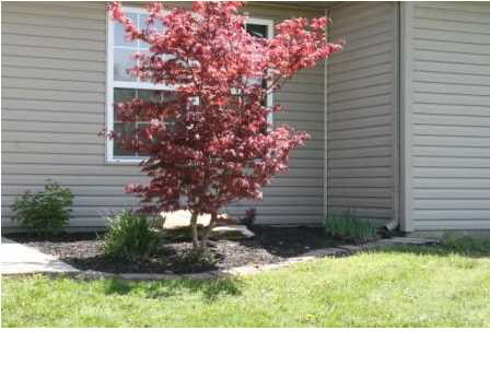 9736 Clippinger Rd, Evansville, IN 47725 photo 16