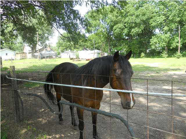 202 E Church St, Decker, IN 47524 photo 10