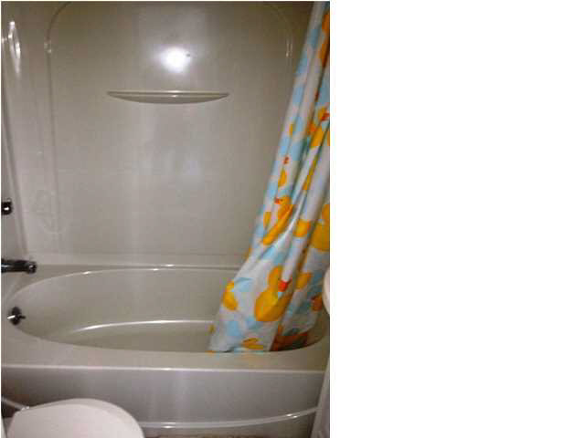 1217 Mesker Park Dr, Evansville, IN 47720 photo 5