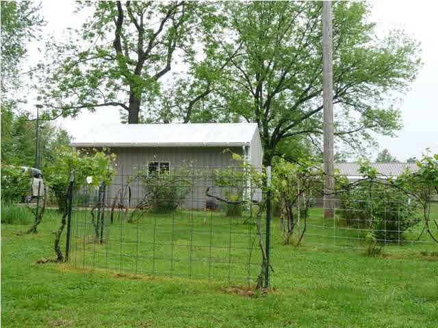 823 Northwood Ave, Jasper, IN 47546 photo 18