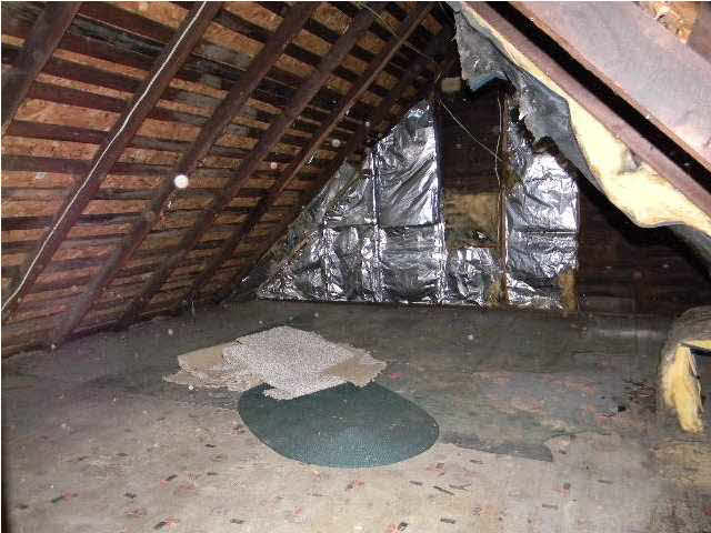 1828 Glendale Ave, Evansville, IN 47712 photo 16