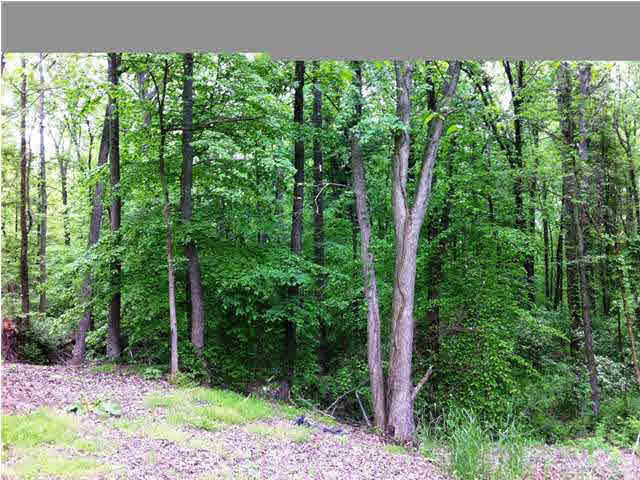 6429 S 500 E, Montgomery, IN 47558 photo 4