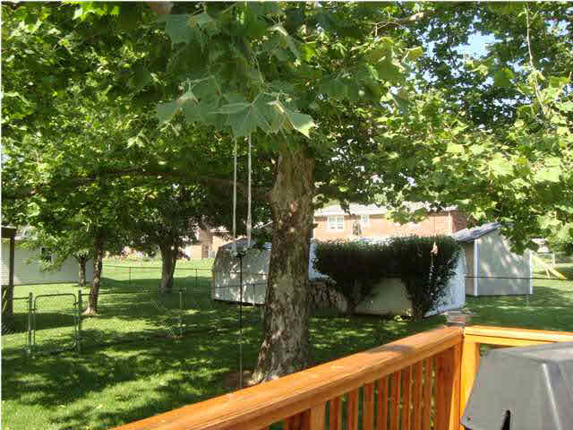 4400 Spruce Dr, Newburgh, IN 47630 photo 22