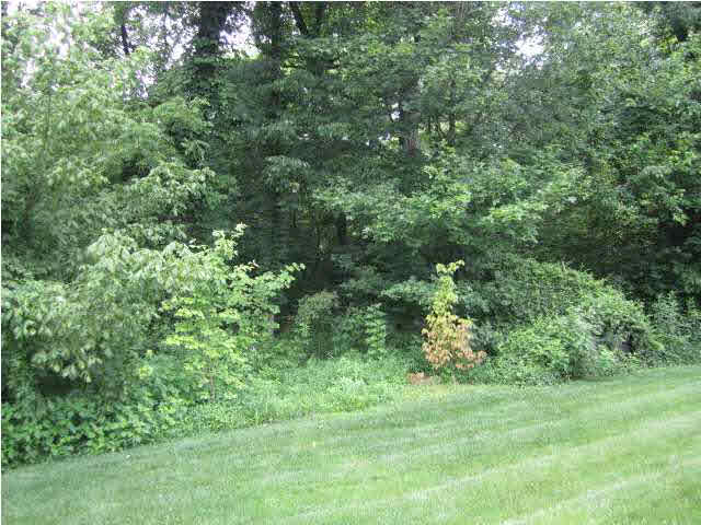 2525 Aiden Dr, Evansville, IN 47725 photo 30