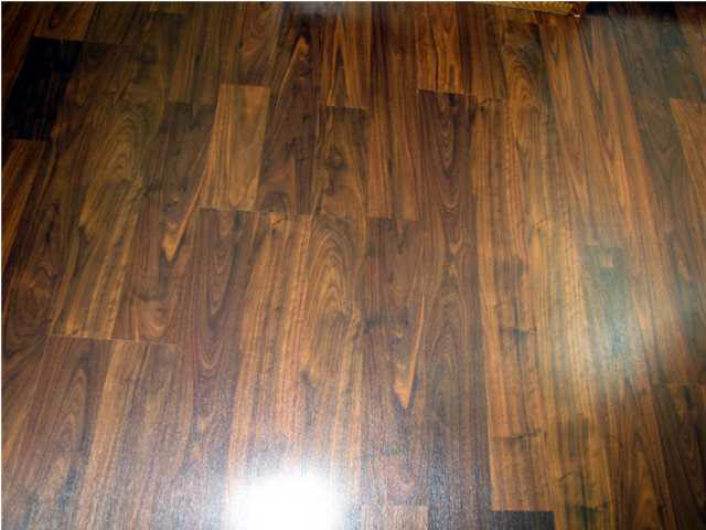 10242 S 850 E, Elberfeld, IN 47613 photo 14