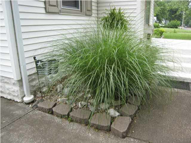 210 N Kelsey Ave, Evansville, IN 47711 photo 2