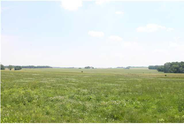4600 Walnut Ln, New Harmony, IN 47631 photo 3