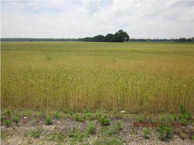 9300 Gross Rd, Mount Vernon, IN 47620 photo 9