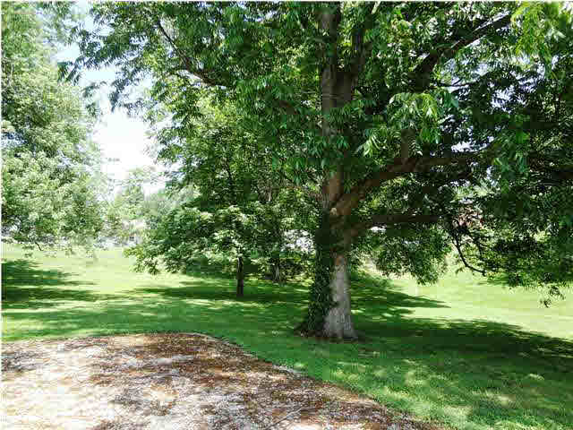 3013 Mount Vernon Ave, Evansville, IN 47712 photo 30