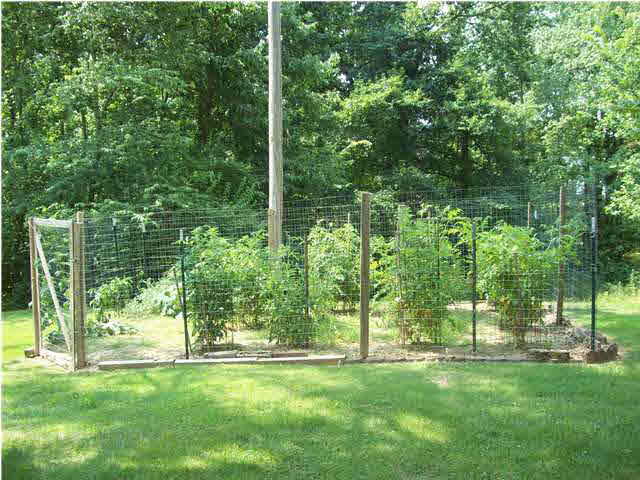 5800 Booker Rd, Evansville, IN 47720 photo 4