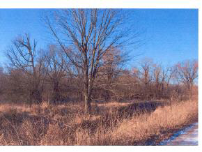 15511 Maple Rd, Argos, IN 46501 photo 3