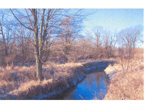 15511 Maple Rd, Argos, IN 46501 photo 2