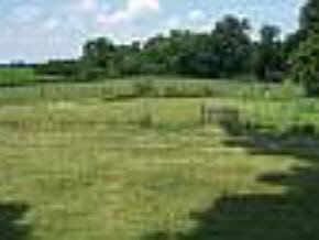 11292 17b Rd, Argos, IN 46501 photo 3