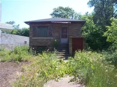223 Durbin St, Gary, IN 46406 photo 1