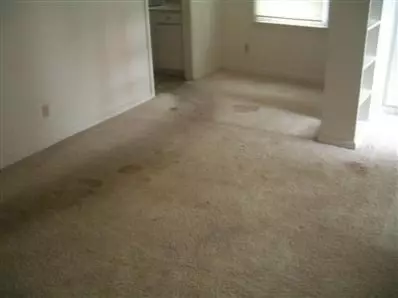770 Mount St, Gary, IN 46406 photo 3