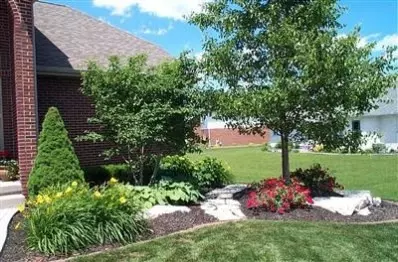 185 Indigo Dr, Dyer, IN 46311 photo 4