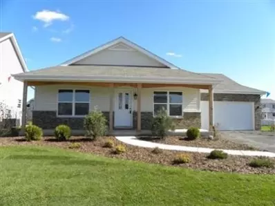 1449 Trailside Dr, Beecher, IL 60401 photo 1
