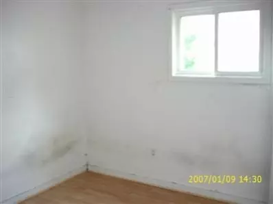 1036 Mount, Gary, IN 46406 photo 4