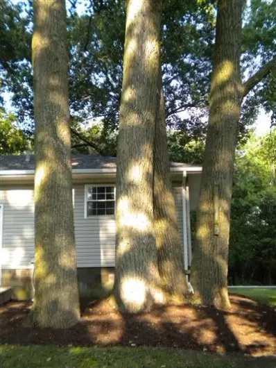 1136 Colfax Ave, Griffith, IN 46319 photo 7