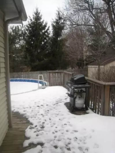 216 Elgin Ave, Griffith, IN 46319 photo 6